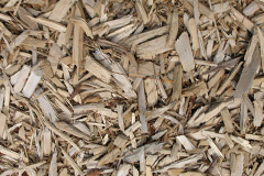 biomass boilers Boyatt Wood